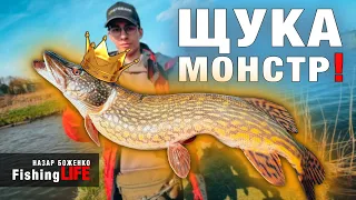 ЩУКА 6 КГ!🔥Рибалка На БЛІСНУ На ЩУКУ - Як Ловити Щуку?