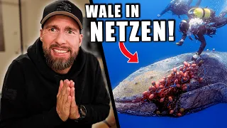 GEFILMT: Forscher befreien WAL von NETZ! - TAUSENDE Wale sind bedroht... | Robert Marc Lehmann