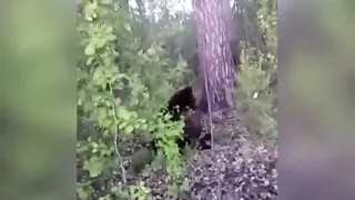 Мужик пнул медведя!! Russian Ivan kicked the bear