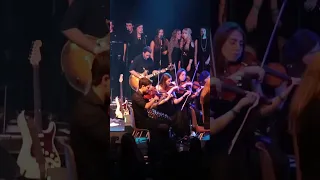 Hozier Sings Queen’s “Somebody to Love” with Trinity Orchestra 4K 60fps Upscale #hozier #live #queen