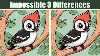 Spot The Difference : Impossible 3 Differences | Find The Difference #127