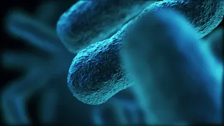 [Free Stock Video] 3D Animation of Flying Over Group of Bacterias Medical Video [HD]