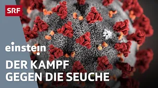 Coronavirus – Die Jagd nach dem Impfstoff | Einstein | SRF Wissen