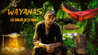 3 jours en Amazonie, chez les Wayanas