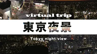 【空撮】空から見た東京は幻想的だった / Tokyo / virtual trip