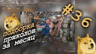 Лучшие приколы недели. Подборка приколов за месяц. Июль 2021. #36.