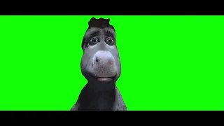 Staring Donkey Face Meme - Green Screen