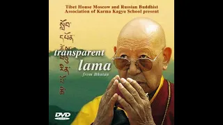 Прозрачный Лама