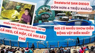 #19 SeaWorld San Diego : Công viên sinh vật biển siêu hút khách : hơn 4 triệu khách hàng năm P.1