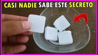 el secreto que nadie te ha contado de esta pastilla ALCANFOR / te Sorprenderás cuando lo sepas