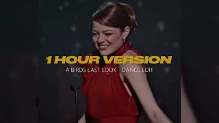 A Birds Last Look (Jersey Remix) - Last Dance  1 Hour Version
