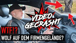 CL500 / CL500 4matic & CL63 AMG fahren? Alle Unterschiede + Wolf auf dem Firmengelände😱