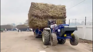 Farmtrack 60. 500+ quantel ganna. Tractor out from sugal mill