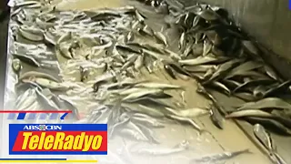 Canned Sardines Group humirit ng dagdag-presyo ng Sardinas | TELERADYO BALITA (20 Jan 2023)