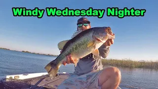 Windy Wednesday Nighters Ep 9 | DELTA FROG BITE