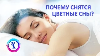 Почему снятся цветные сны?