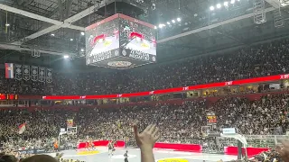 Partizan - Olimpija: Volim ga!