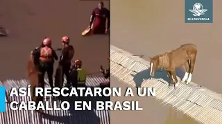 Rescatan a caballo que estaba varado en un techo en Brasil