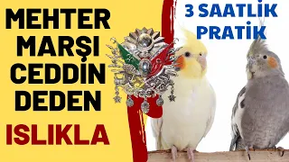 MEHTER MARŞI CEDDİN DEDEN ISLIK 3 SAAT - ISLIKLA PAPAĞAN VE MUHABBET KUŞU ŞARKILARI