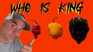 World's Hottest Pepper Carolina Reaper Showdown