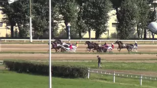 Московский ипподром. Бега. 26.07.15. Заезд 9(424)