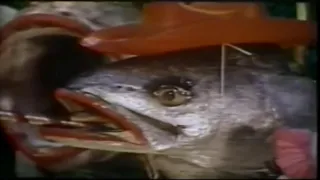 "Fish Heads" Music Video (Barnes & Barnes)