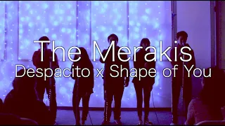 [LIVE] Despacito x Shape of You [Pentatonix Cover] - The Merakis