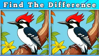 Spot The Difference : Can You Find Them All? [ Find The Difference #27 ]