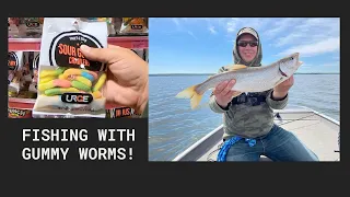 Trout Fishing with Gummy Worms
