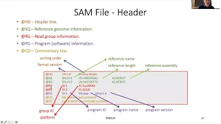 STAT115 Chapter 3.6 SAM and BAM files