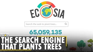 Berlin-based search engine uses the money made to plant trees | Ecosia | Germany