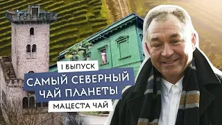 Российский чай, которым можно гордиться! Братья Чебурашкины исследуют Cочи и чайные сады Мацесты