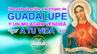 Haz esta Oracion a la VIRGEN DE GUADALUPE para proteccion y recibe un Milagro en tu Vida