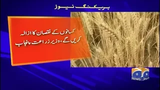 35000 acres of wheat,crop destroyed by heavy rains in Punjab: agriculture minister