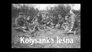 Kołysanka leśna