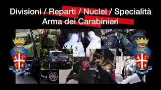 Divisioni, reparti, nuclei e specialità Arma dei Carabinieri