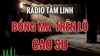 Rợn tóc gáy nghe kể về BÓNG MA TRÊN LÔ CAO SU những câu chuyện li kì | Mc Hằng Nga