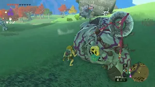 Bokoblins vs Lynel