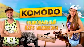 КОМОДО / KOMODO / НАЦИОНАЛЬНЫЙ ПАРК КОМОДО / NATIONAL PARK KOMODO / ИНДОНЕЗИЯ / INDONESIA / ВАРАНЫ