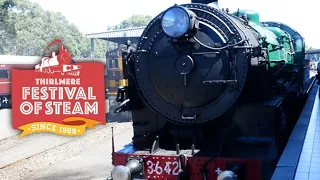 3016 & 6029 at the Thirlmere Festival of Steam - March 2016