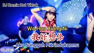 Wo Hao Xiang Ni 我好想你 (DJ Remix) Aku Sungguh Merindukanmu (Lirik, Pinyin,Indonesia Terjemahan)
