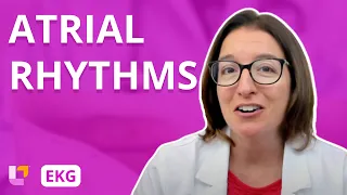 Atrial Rhythms - EKG Interpretation | @LevelUpRN