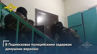 В Подмосковье полицейскими задержан домушник-верхолаз