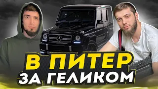 ПИТЕРСКИЕ ПРИКЛЮЧЕНИЯ! ОБМЕНЯЛИ GL на ГЕЛИК!