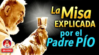 La MISA explicada por el PADRE PÍO | Charla de Formación en VIVO