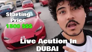 Live Auction In DUBAI Amazing Cars  ( INSANE PRICES )