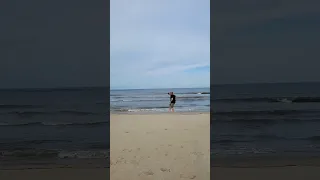 I found a wild horse on the beach