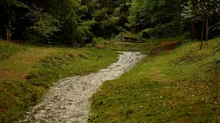 River Sounds in the Tbilisi Botanical Garden LXXXVI | Georgia