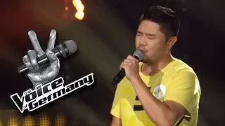 Eagles - Desperado | Dae-On Jung | The Voice of Germany 2017 | Blind Audition