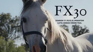 SONY FX30 | Phantom LUTS | Tamron 17-70 f2.8